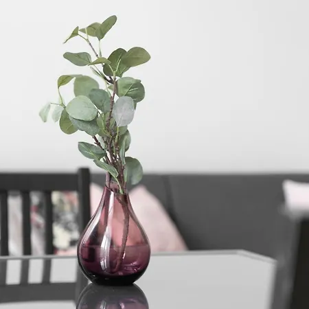 Kamienica Centrum Nr 11 アパート