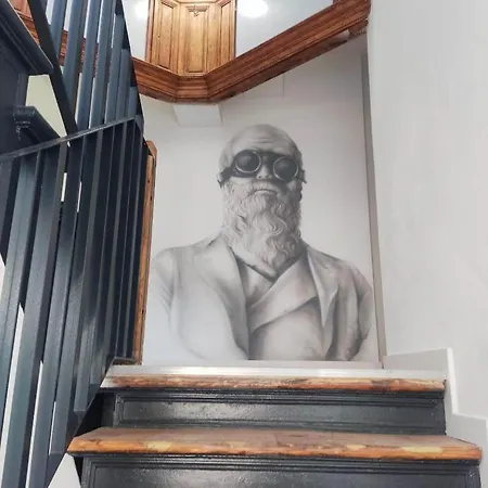 Kamienica Centrum Nr 11 *