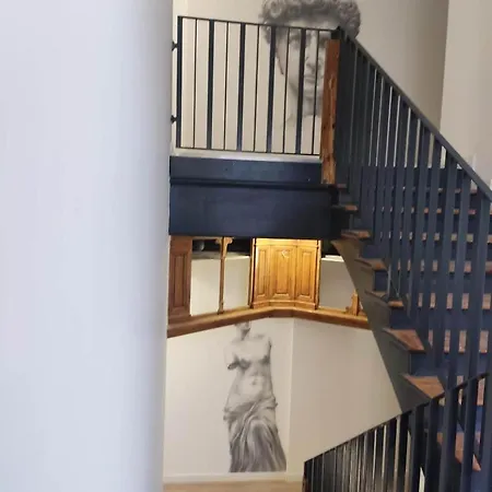 Kamienica Centrum Nr 11 *