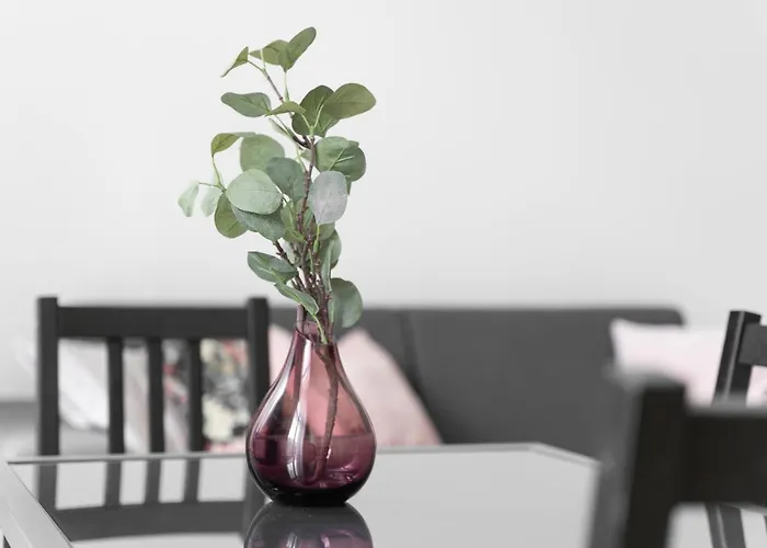 Kamienica Centrum Nr 11 Διαμέρισμα