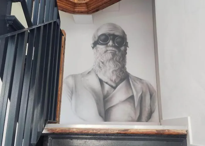 Kamienica Centrum Nr 11 *